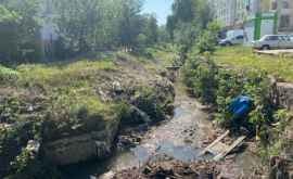 Начаты работы по очистке и углублению русла реки Дурлешты