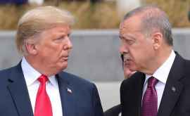 Турция Болтон манипулятивно представил беседы Эрдогана с Трампом 