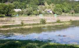 Наводнение в Телице Затоплены домохозяйства