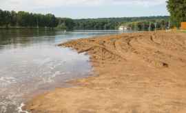 Последняя информация об уровне воды в реках Прут и Днестр