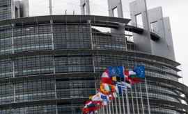 Офисы членов Европарламента были ограблены во время карантина