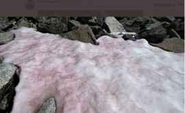 În Alpii italieni a fost descoperită gheața de culoare roz FOTO