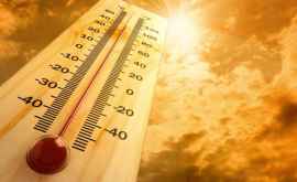 Ученые аномальная жара в Сибири связана с деятельностью человека