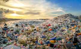 К 2040 году в окружающей среде будет находиться 13 миллиарда тонн пластика
