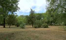 Parcul S Kirov din Tiraspol în așteptarea înnoirii Foto