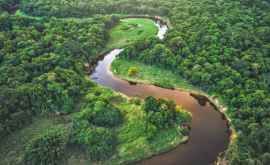 Ce se întîmplă în Amazon Oamenii de știință sînt alarmați