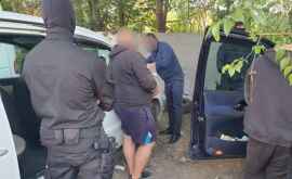 Пять человек задержаны по делу о контрабанде в особо крупных размерах