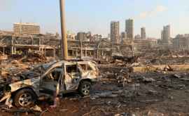 Beirut a fost declarat zonă de dezastru
