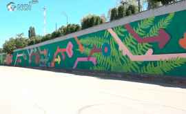 Nuți poți lua ochii Pictura murală de la Telecentru prinde contur VIDEO