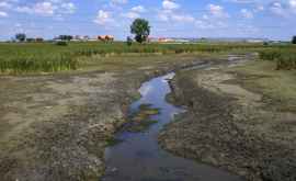 Seacă rîurile și lacurile Moldovei prognozele nu sînt îmbucurătoare