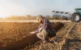 Opinie Actualele probleme ale agriculturii reprezintă efectul unei crize sistemice