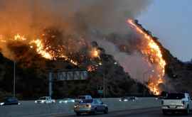  В Калифорнии изза природного пожара горят леса