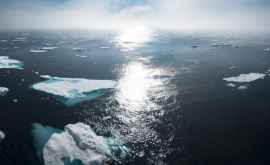 Исследование ледяной покров Гренландии расстаял до точки невозврата