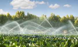 A fost aprobat Regulamentul cu privire la utilizarea apelor subterane pentru irigare