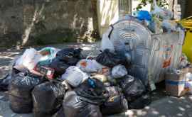 Ce ar putea păți cei care aruncă gunoiul în preajma blocurilor în care nu locuiesc