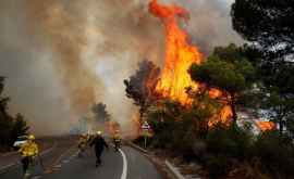 Разрушительные лесные пожары в США ВИДЕО