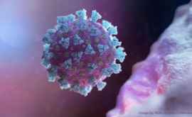 Сравнение уровня смертности от коронавируса и других заболеваний