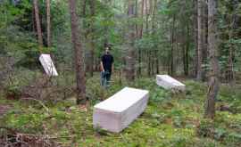 В Нидерландах создали гроб из грибов