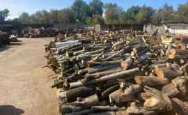 Bătrînii și familiile socialvulnerabile din capitală și suburbii vor primi gratuit lemne de foc