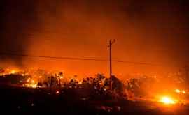 Масштабные лесные пожары приближаются к городу ЛосАнджелес 