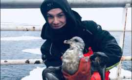 Un tînăr chișinăuian prinde crabi în Marea Barents VIDEO