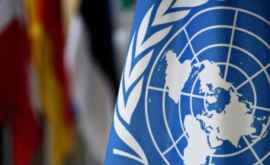 ООН человечество провалило испытание пандемией