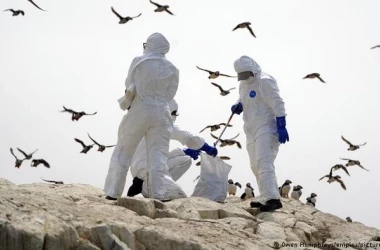 OMS avertizează că se apropie o nouă pandemie