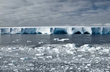 Unul dintre cei mai mari gheţari încearcă să scape din Antarctica.