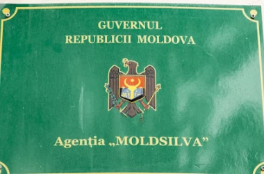 Guvernul a numit un nou director la Agenţia „Moldsilva”