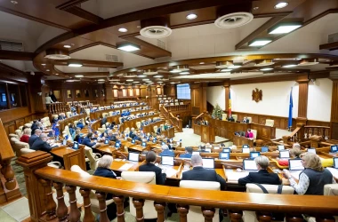 Audieri publice în parlament pe subiectul decesului Anei-Maria