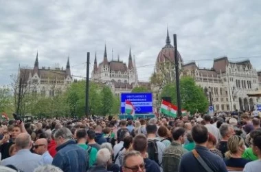 Масштабный митинг прошёл в одном из городов Венгрии