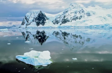 Что формируется в Антарктиде на протяжении пяти десятилетий