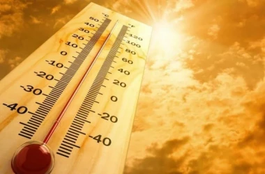 Начиная с июня 2023 года, в каждом месяце отмечается рекордная температура