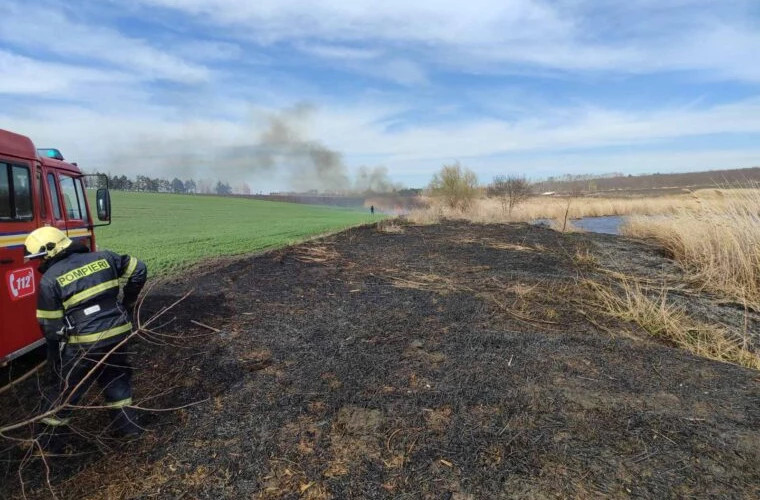 Пожар растительности в одном из населенных пунктов в Рышканском районе