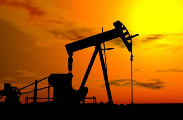 Кто будет эксплуатировать газовые и нефтяные месторождения на юге страны