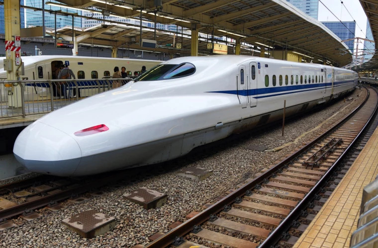 В Японии изза змеи задержался поезд