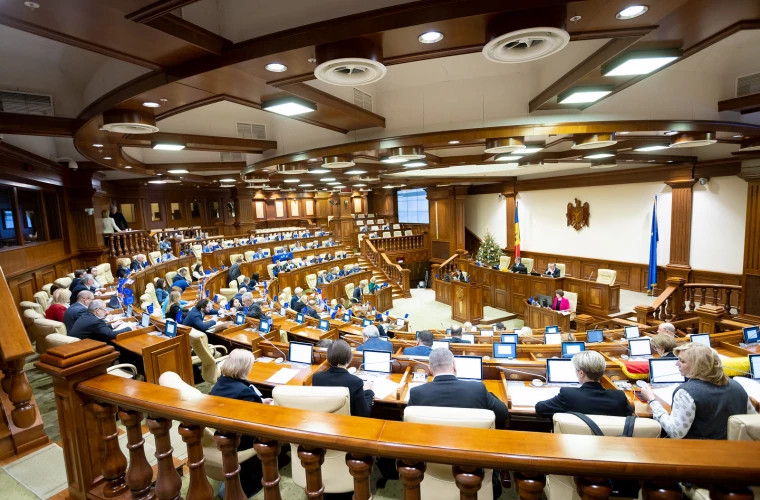 Audieri publice în parlament pe subiectul decesului AneiMaria