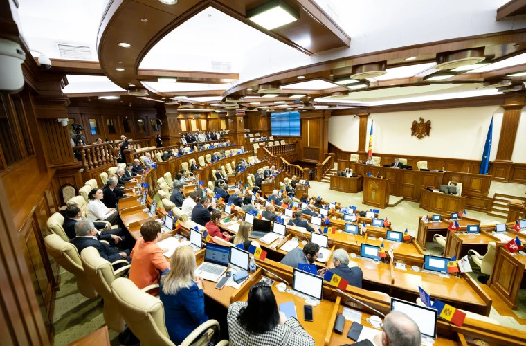 Parlamentul a aprobat în lectură finală Controale de stat mai eficiente