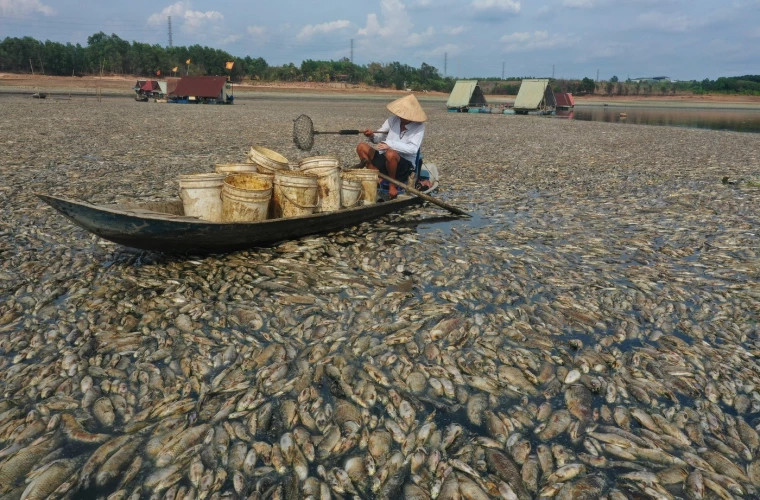 Priveliște înfricoșătoare pe un lac din Vietnam Ce se întîmplă