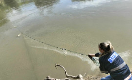 Инспекторы по охране окружающей среды осуществляют проверки на реке Прут