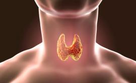 Greșelile zilnice care provoacă boli de tiroidă
