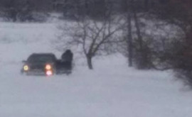 Зима проявляет характер Два села в Шолданештском районе заблокированы снегом