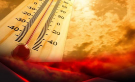 Исследование Ученые прогнозируют экстремально опасную жару в мире к 2100 году