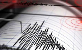 За полдня в Румынии произошло 11 землетрясений