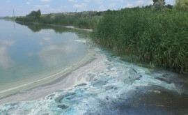 Deșeurile de origine necunoscută au ajuns în lacul de acumulare din Vulcănești