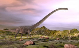 Обнаруженные в Китае останки динозавра могут принадлежать неизвестному ранее виду