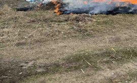 Amenințare mediului înconjurător la Cahul au fost arse ilegal deșeuri 