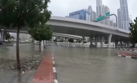 Șosele importante inundatt și zboruri anulate în EAU