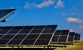 Un nou regulament cu privire la desfășurarea licitațiilor privind construcția parcurilor fotovoltaice și eoliene