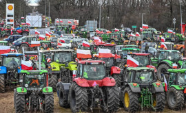 Протесты польских фермеров как правительство решило им помочь